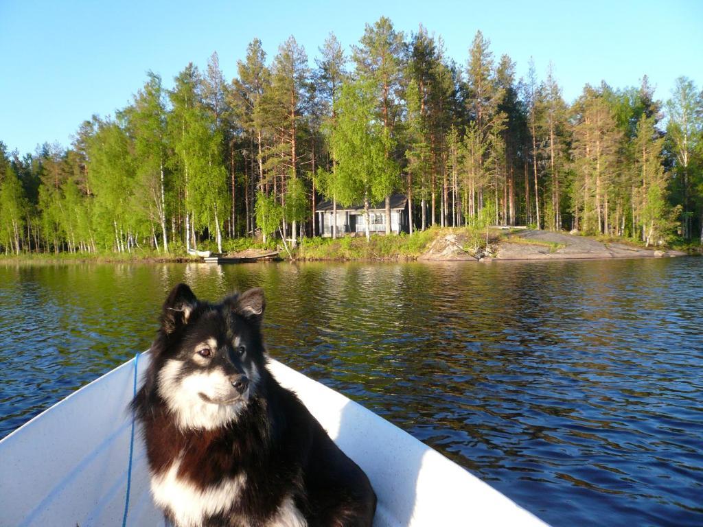 B&B Lomamokkila Savonlinna Buitenkant foto